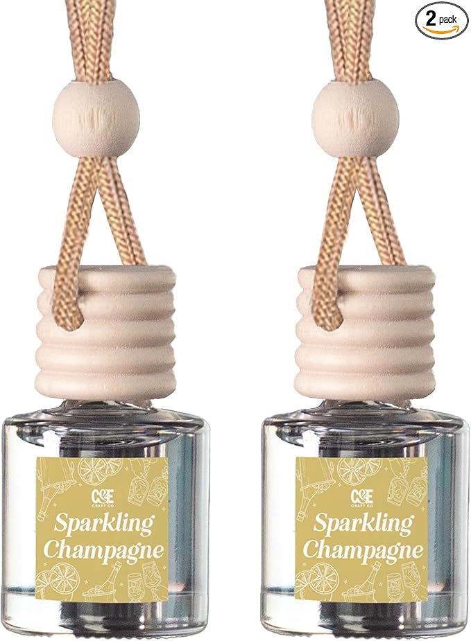 CANDECraftCo Car Air Hanging Fragrance Oil, Car Auto Freshener for Essential Oils, Scents Fragrance Aromatherapy Automobile Diffuser, Long Lasting (Sparkling Champagne)