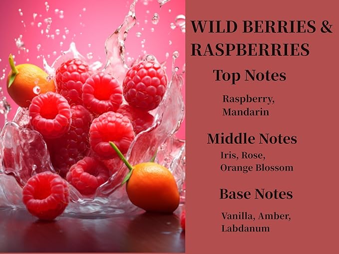2Pack Wild Berries and Raspberries Scented Automotive Air Freshener Set, Car Accessories Decoration Hanging Scented Car Diffuser for Men Women