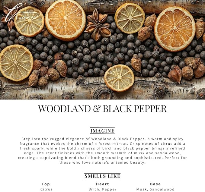 Car Air Freshener Diffuser – 2 Pack Hanging Air Freshener Diffuser (.34 Oz, Woodland & Black Pepper)