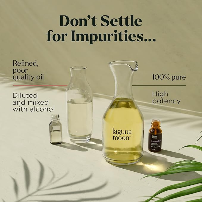 Essential Oils Set - Top 10 Gift Set Blends for Fragrance, Diffusers, Humidifiers, Aromatherapy, Cars & Home Products, Room Sprays, Candle Making, Yoga - Fragrance Oils for Botanical Fresheners Making