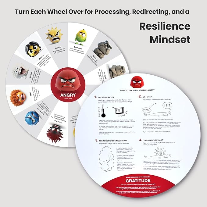 FeelWise Super EQ Kit - For Building Emotional Intelligence - Thirteen 12" Round 2-sided Emotion Wheels w/ Storage Envelope & Instructions - Emotion Learning Games for Kids, Parents, Professionals, Teachers, School Counselor - Screen-Free Activities