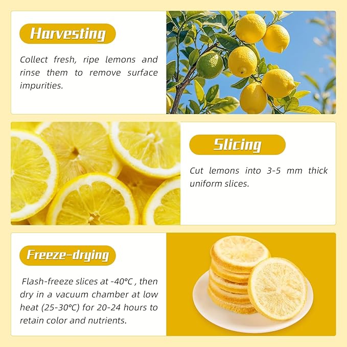 Haomly Freeze Dried Lemon Slices -90g/3.17oz -100% Natural Dehydrated Lemons-Dehydrated Fruit Slices for Cocktails Garnishes/Drinks/Teas/Decor-No Sugar Added-No Additives