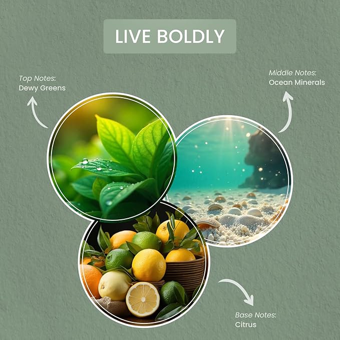 Carolina Live Boldly 16 oz Scented Candle, 2 Wick Wellness Relaxing Candle, 60H Burn Time, Ideal for Creating a Welcoming Home - Made in The USA