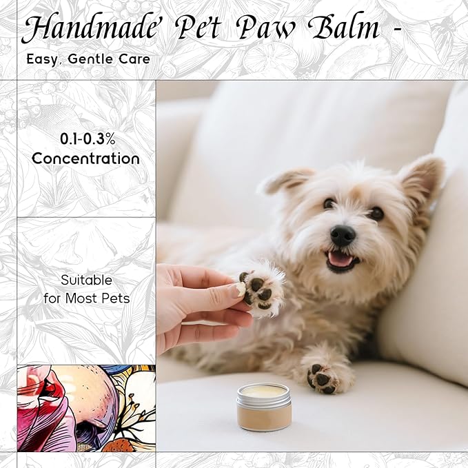 HIQILI Feral Rose Fragrance Oil for Candle Making, Inspired by Gr-Lain ROS.B-Bare, DIY Scented Body Oils, Home Luxury Scents for Essential Oil Diffuser - 5.07 Fl Oz