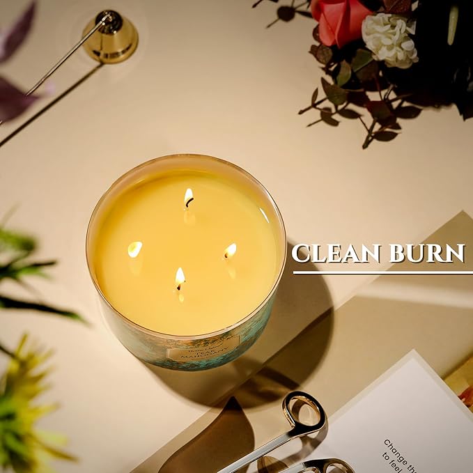 HomeLights Large jar Candle | 4-Wick Long-Lasting Scented Candles, 18oz Natural Soy Wax Candle for Home Scented, Industrial Chic Gifts for Women & Men, Teak Mahogany