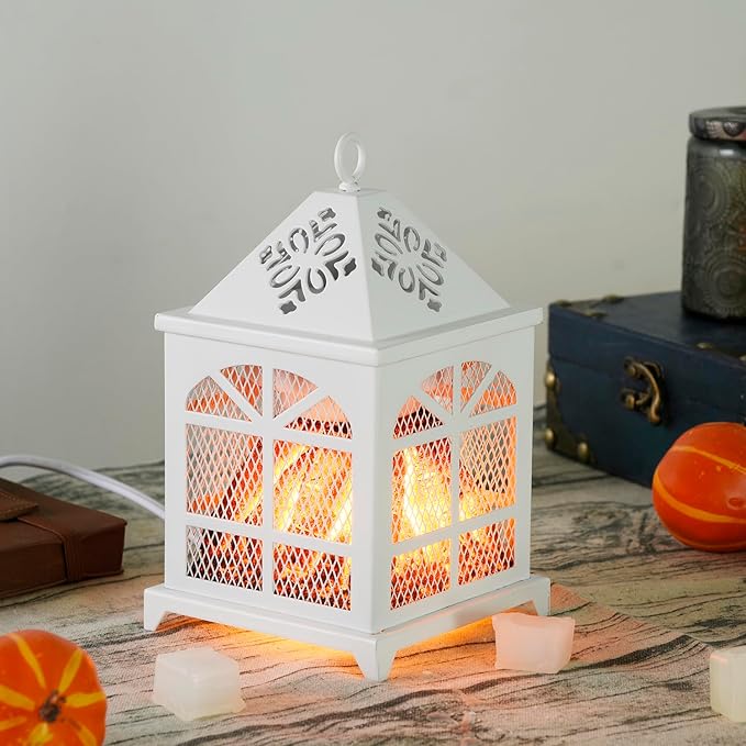 Dicimi Wax Melt Warmer,4-in-1 Electric Wax Melter (White, Window)