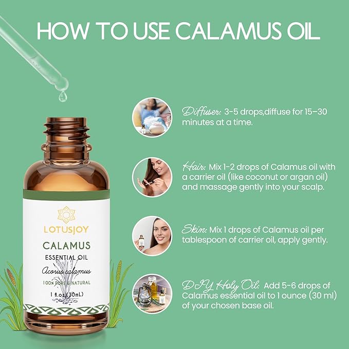 Calamus Essential Oil for Skin Hair Diffuser DIY Anointing Oil- 1 Oz