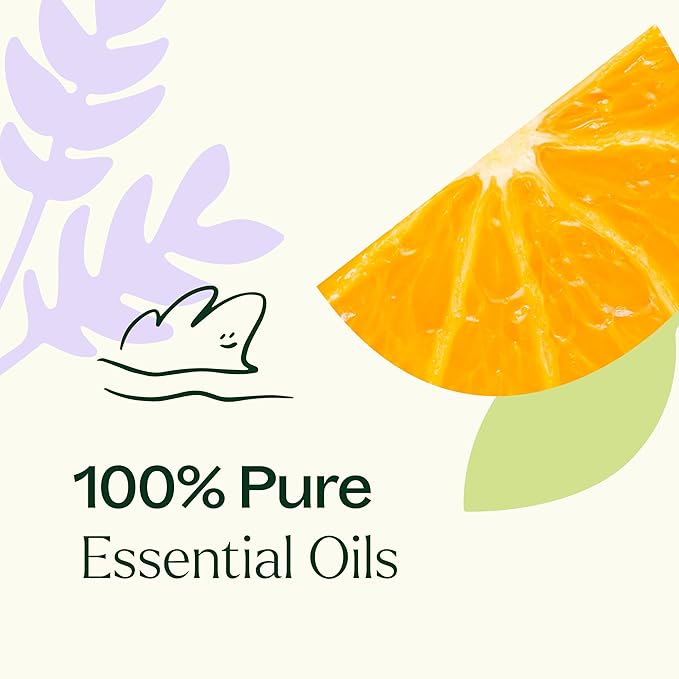 Plant Therapy Meditation Essential Oil Blend 10 mL (1/3 oz) 100% Pure, Undiluted, Therapeutic Grade