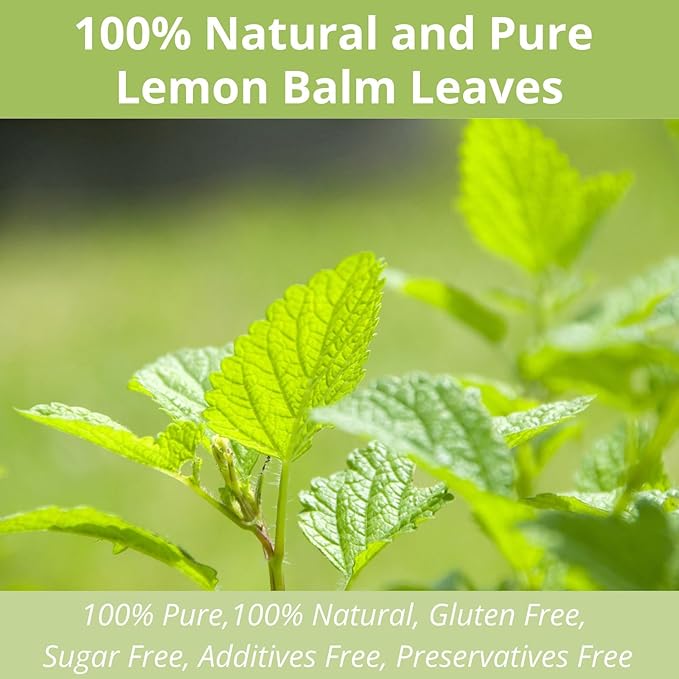 60 Lemon Balm Tea Bags - VitalForest Dried Lemon Balm Leaves Tea -1.5g/Bags, Calming Herb, Stress Relief & Sleep Support, Non-GMO, Caffeine-Free
