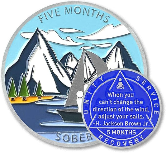 5 Monthly Sobriety Coin Sobriety Chips AA Chip AA Coins Sober Token Recovery Medallion NA Chips NA Coins from 1 to 12 Months Plastic case Included-Baking Paint Process