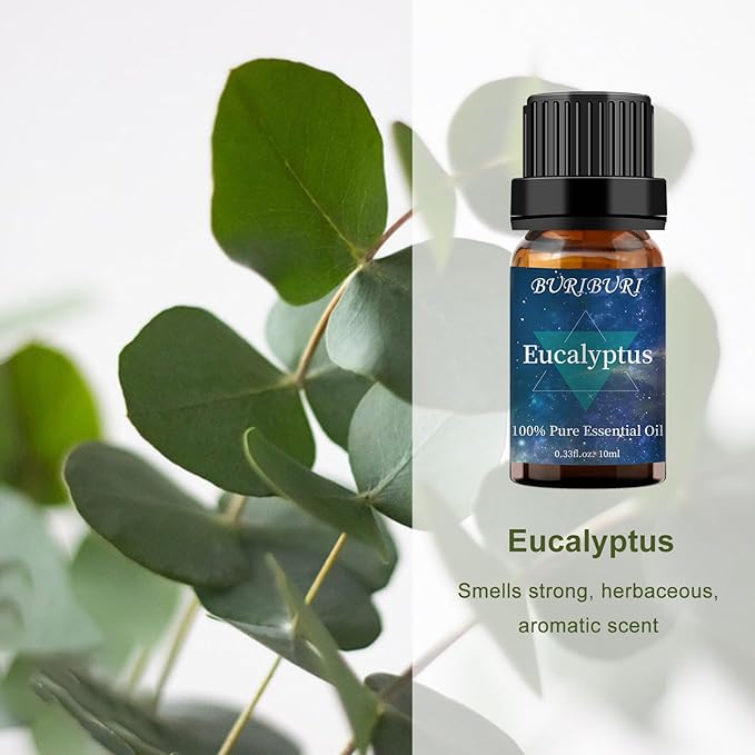 BURIBURI Eucalyptus Essential Oil for Diffuser, 100% Pure, Undiluted, Natural, Organic Aromatherapy Eucalyptua Fragrance Oils 10ML for Candle Making Soap Making