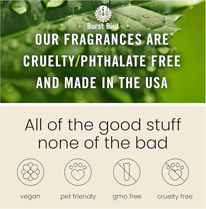 Car Air Freshener Diffuser 2 Pack Hanging， Car Air Freshener for Women 45+ days Long Lasting Fragrance Made in USA