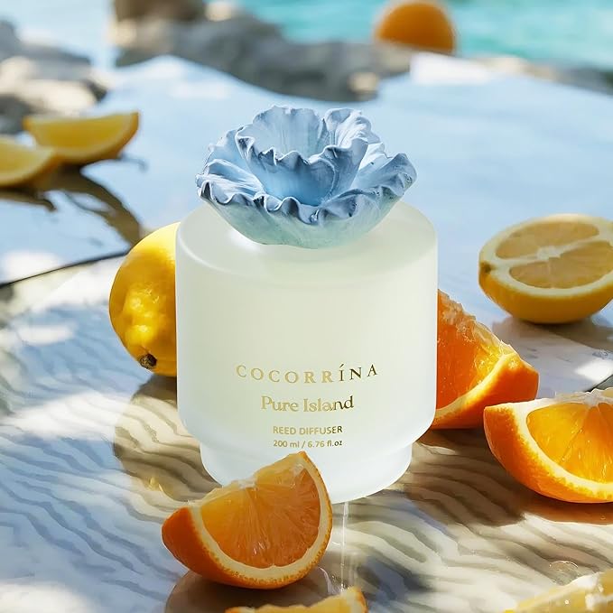 COCORRÍNA Gypsum Flower Reed Diffuser Set for Bathroom Décor – Pure Island Scent, 6.76 oz with Sticks & Oil – Home Fragrance for Bathroom & Living Space