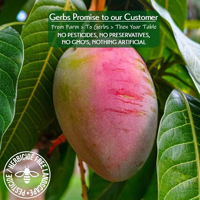 Gerbs Sweetened Dried Mango Slices 4 lbs. | Unsulfured, No Additives, Resealable Bag | Naturally Chewy & Sweet | Top 14 Allergen-Free