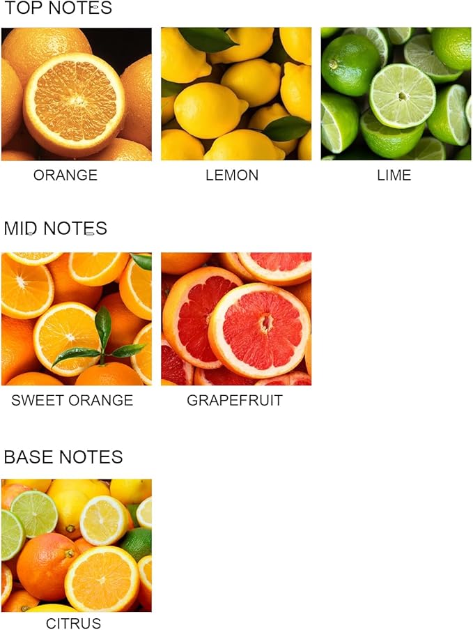 UCC Reed Diffuser Set, 3.38 oz Pure Orange Premium Scented Diffuser with Flower Sticks Home Fragrance Reed Diffuser for Bathroom Shelf Decor