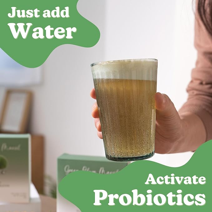 DALAMHARI Kombucha Powder | Green Plum 20T | Probiotic Soda Urban Remedy Kombucha Synergy Scoby Starter Kit Adaptogen Drink Health Ade Kombucha Tea Bubbly