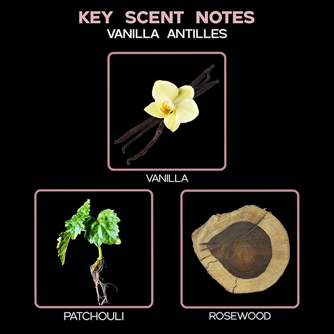 LOVSPA Reed Diffuser Set, Vanilla Antilles Scented Oil Diffuser with Sticks, Home Fragrance Accessories for Bathroom Shelf Decor, Aroma Diffusers for Home or Office Fall Decor, USA Made