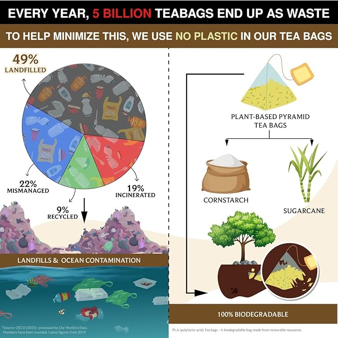 BREWIX, Vanilla Spiced Chai Tea (25 Pyramid Tea Bags) | High Caffeine, Gluten Free | Blend Of Vanilla & Masala Chai Tea | Black Tea with Cinnamon, Black Pepper, Cardamom and Clove | Energy & Focus Tea