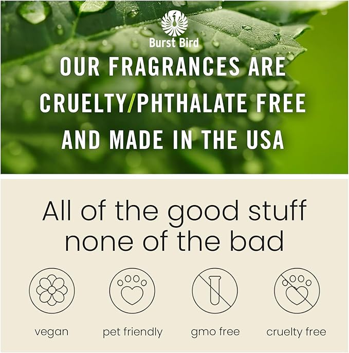 Car Air Freshener Hanging,Cute Air Diffuser for Car, Long Lasting Car Air Fresheners, Car Fresheners for Women, Made in USA(2 Pack)