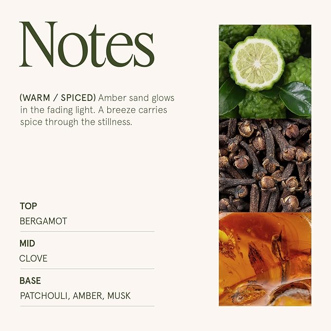 LA JOLIE MUSE Fall Candle | Sahara Amber Candles – Bergamot, Clove & Amber | 10 oz Soy Candle | Natural Soy Wax | 55 Hours Clean Burn | Gift-Ready for Cozy Nights | Elevated Fall Décor