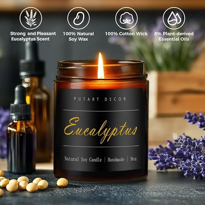 Eucalyptus Mint Candles for Home Scented, Natural Soy Aromatherapy Non Toxic Candles with Long Lasting Fragrance & Clean Burn, Luxury Jar Candle Gift for Women, Men, Home Decoration 9oz