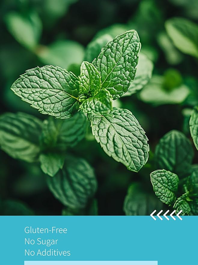 HYNTMYT Spearmint Tea Bags, Natural Spearmint Leaves, Crisp & Clean Flavor, Caffeine Free, 100 Count