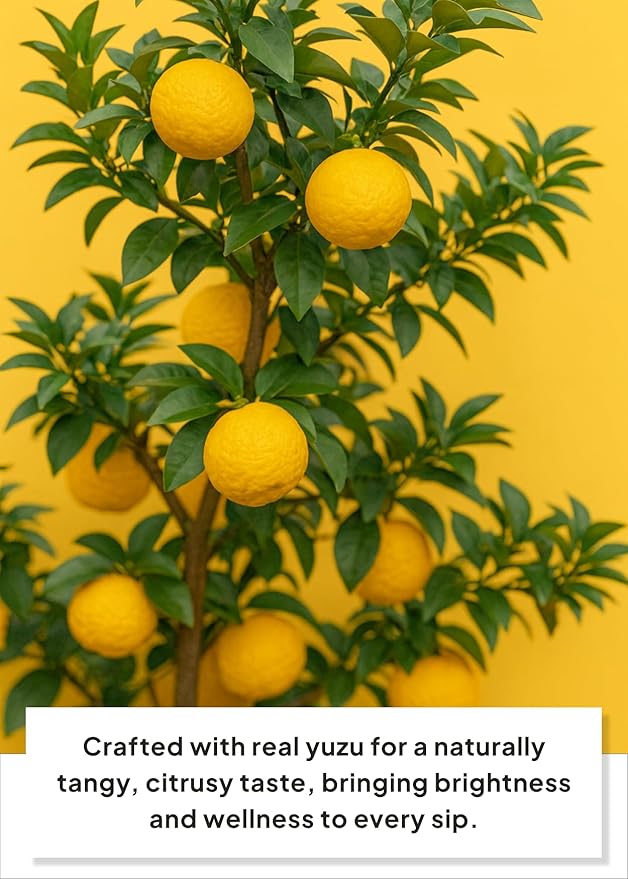 Korean Food Everteen MegaVita C3000 Effervescent Drink – Citrus-Flavored Fizzy Beverage Mix, 3,000mg Vitamin C per Tab, 2 Tabs Daily = 6,000mg, 10 Tabs × 3 Packs