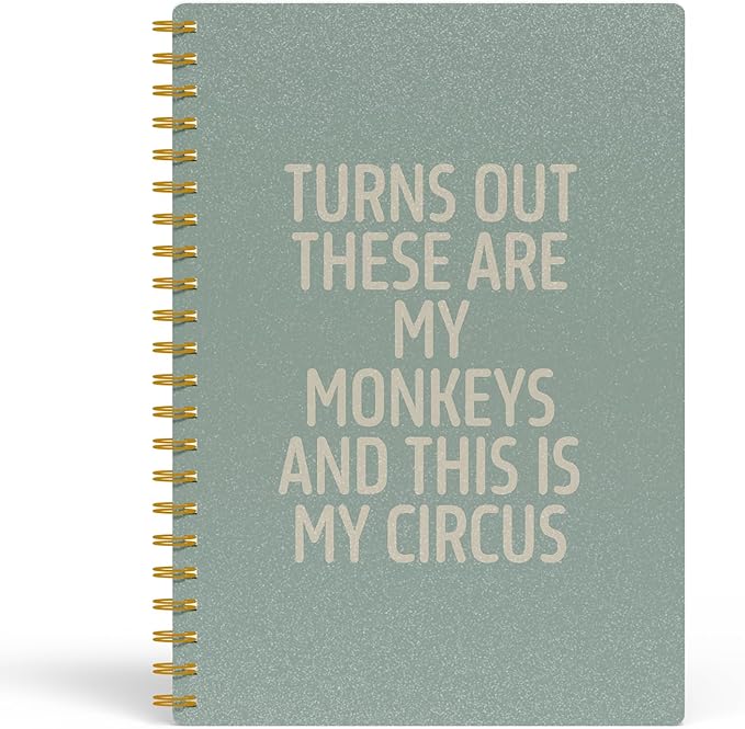 Funny Notebooks for Work,Sage Green Aesthetic Journal, Funny Boss Day Gifts, Boss Gifts for Men Women, Funny Gifts for Boss, Boss Office Decor, Spiral Notebook 5.5x8.3 Inch