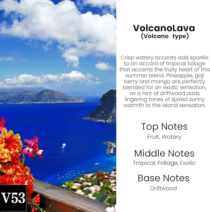 Car Air Freshener Diffuser 2 Pack Hanging， Car Air Freshener for Women 45+ days Long Lasting Fragrance Made in USA