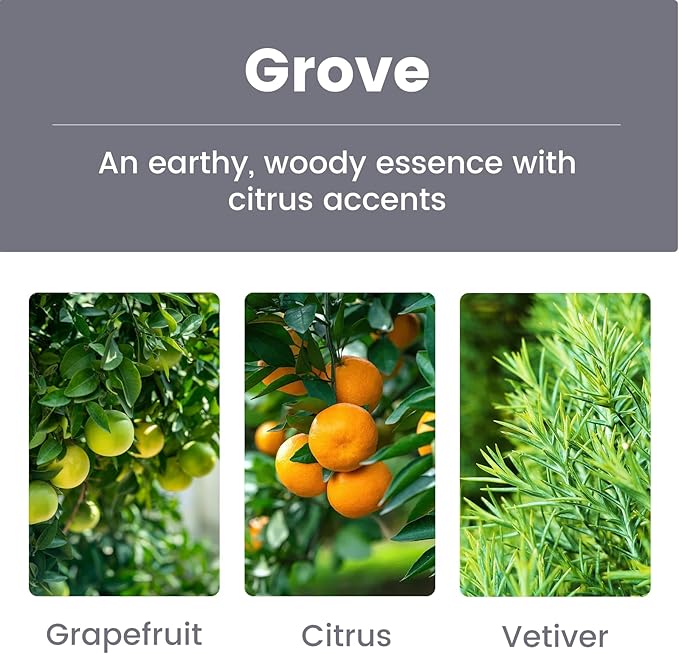 Car Diffuser | Stone Air Freshener | Magnetic Visor Clip & Hanging Car Scent Odor Eliminator, Long Lasting Vehicle Fragrance - Grove