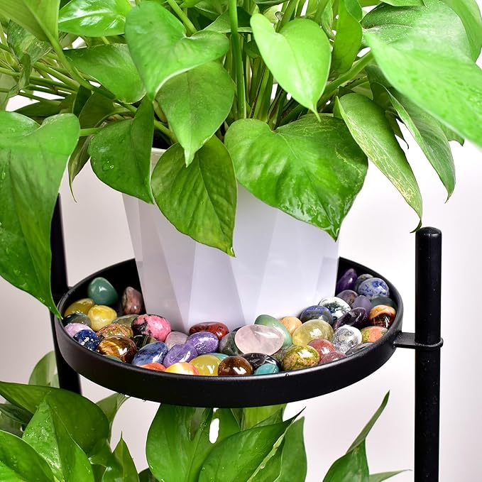 Polished Stone Set, Limited Edition, 1.8 lbs, 0.8 Inches, 25 Types of Extra Large Tumbled Gemstones and Crystals in Bulk for Healing, Reiki, Meditation, and Witchcraft