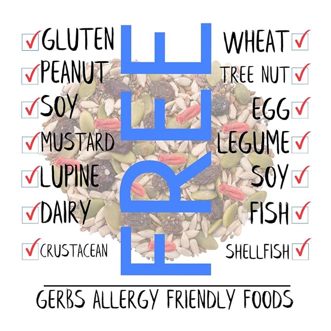 GERBS Superfood Snack Mix 2 LBS. | Top 14 Food Allergy Free | Bulk Bag | Made USA | Raw Pumpkin Sunflower Chia Hemp Brown Flax Seeds Dried Blueberries Cherries Cranberries Raisins Goji Berry Trail Mix