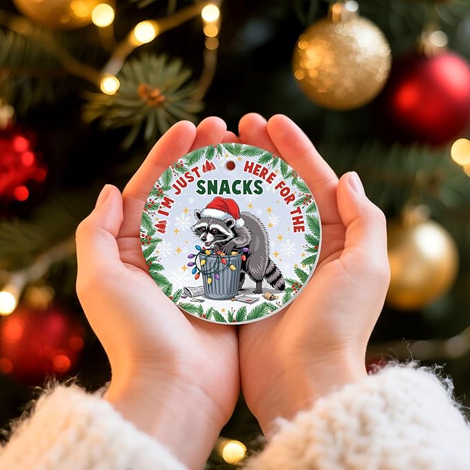 Funny Raccoon Christmas Ornaments 2025 - Im Just Here Ceramic Tree Decoration, 2-Sided UV Print, for Men Women, Rustic Xmas Decor