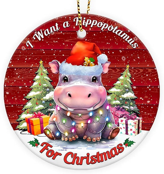 I Want a Hippopotamus for Christmas Ornament, Cute Hippo Tree Decoration with Lights, Funny for Men Women 2025