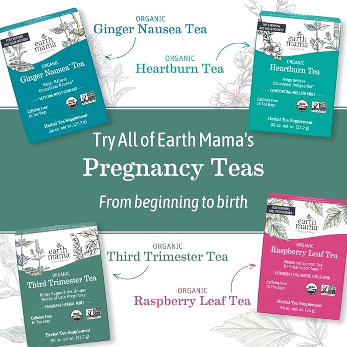 Earth Mama Organic Peaceful™ Tea | Stress Less! Calming, Relaxing Herbal Blend Safe for Pregnancy & Beyond, 16 Teabags Per Box (6-Pack)
