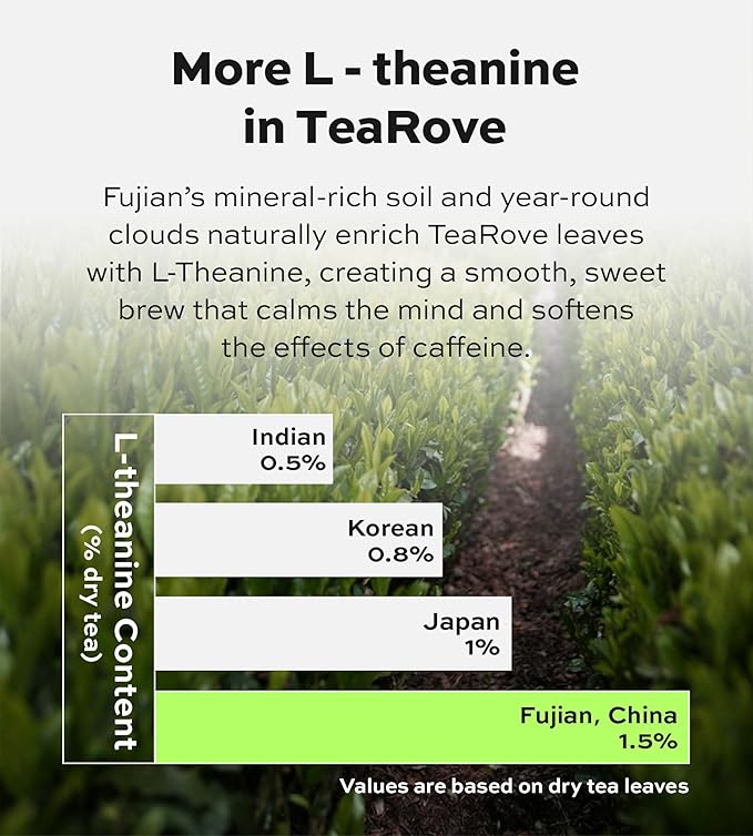 TeaRove Tea Sampler Gift Box - The Road Ahead Collection, Fancy Chinese Full-Leaf Tea Assortment Variety Pack, Black, Oolong, Jasmine Green & Herbal Teas, Hot or Iced, Self Care Gifts for Teas Lovers