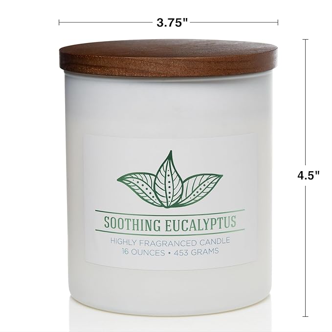 Carolina Soothing Eucalyptus Scented Candle, 16 oz Wellness Relaxing Aromatherapy Candle, 2 Wick White Jar Soy Blend Wax, Candles for Home, 60H Burn - Made in The USA