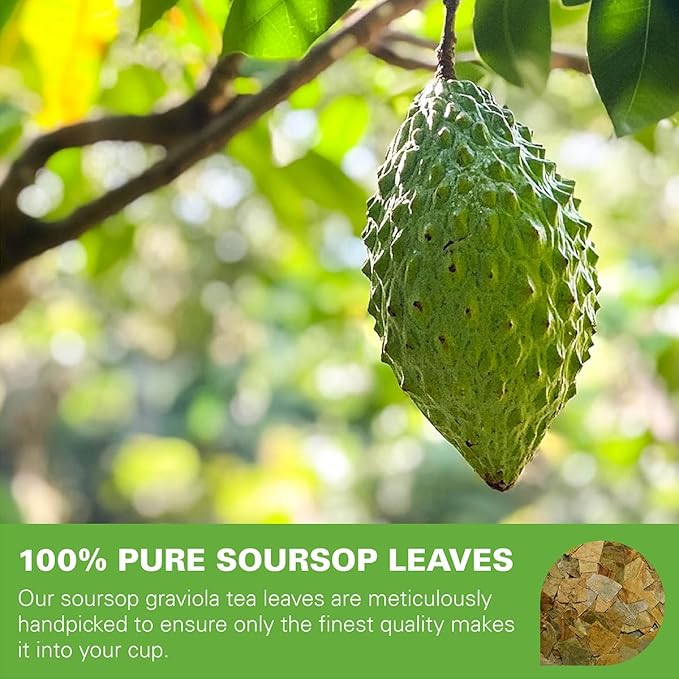 WT WEETEE Soursop Leaves Tea Bags 50 Count, Made with 100% Pure Soursop Graviola/Guanabana Leaves, Natural Caffeine-free Herbal Tea, Corn Fiber Tea Bags