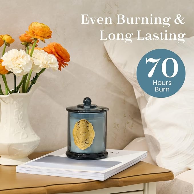 M&SENSE Verbena Basil Candles for Home Scented, 2 Wick 12.7oz Soy Wax Candles Non Toxic,70 Hours Long Burning,Luxury Candles Gift for Stress Relief, Meditation, Yoga