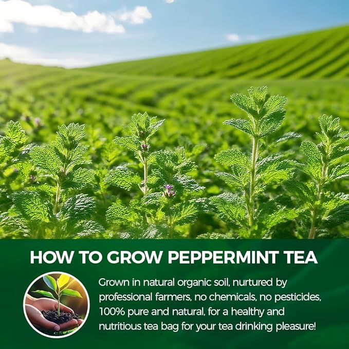 WOTIHA-Natural Peppermint Tea 180g.120 Herbal Tea 100% Natural Peppermint Leaves.Non-GMO • Additive-Free • Caffeine-Free • Sugar-Free • Vegan