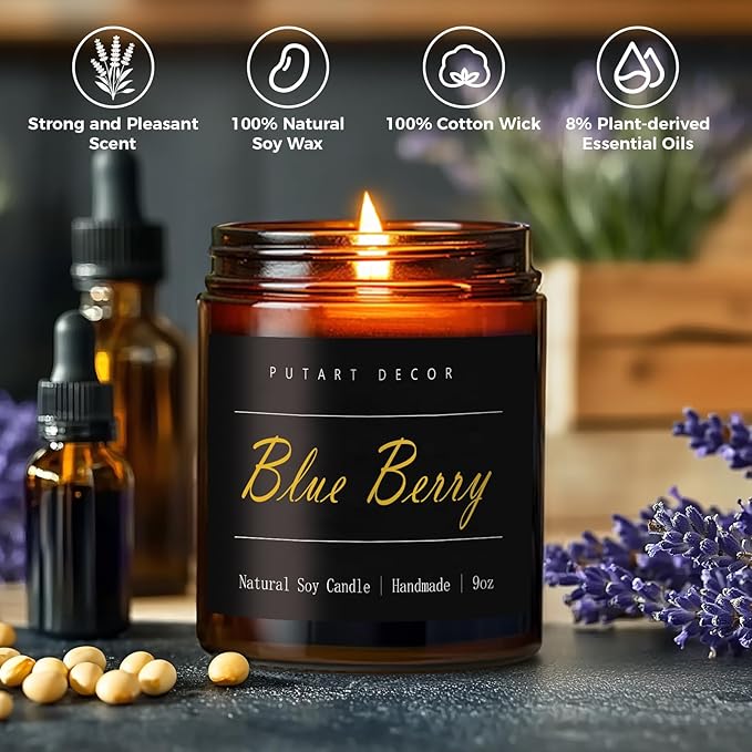 Blueberry Candles for Home Scented, Natural Soy Aromatherapy Non Toxic Candles with Long Lasting Fragrance & Clean Burn, Luxury Jar Candle Gift for Women, Men, Home Decoration 9oz