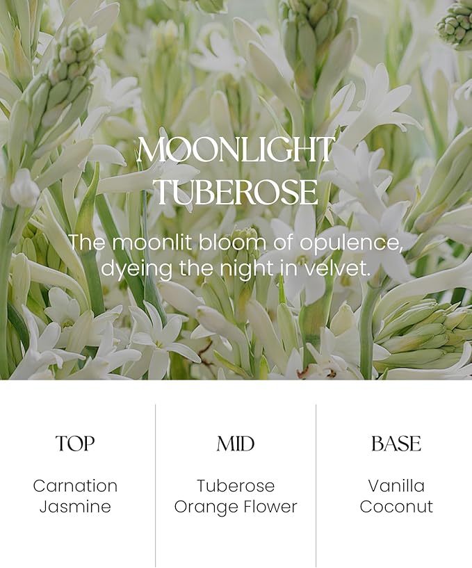 M&SENSE Moonlight Tuberose Reed Diffuser Set - 8.79fl oz Home Fragrance Non-Toxic Essential Oil Diffuser with Sticks, Air Freshner Gifts for Her or Him
