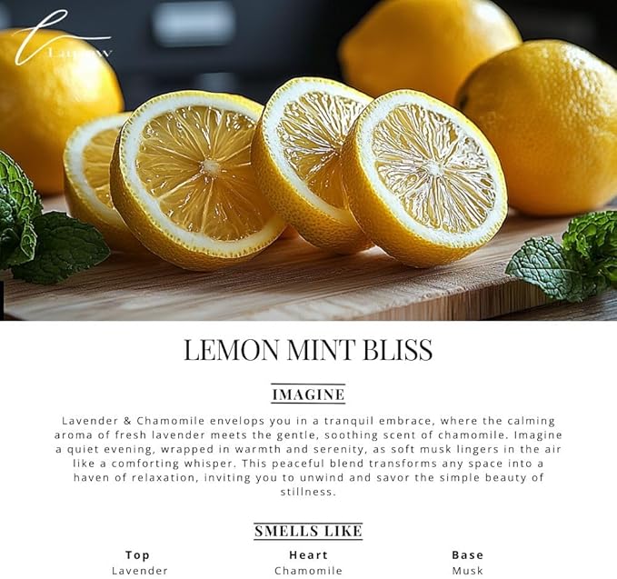 Car Air Freshener Diffuser – 2 Pack Hanging Air Freshener Diffuser (.34 Oz, Lemon Mint Bliss)