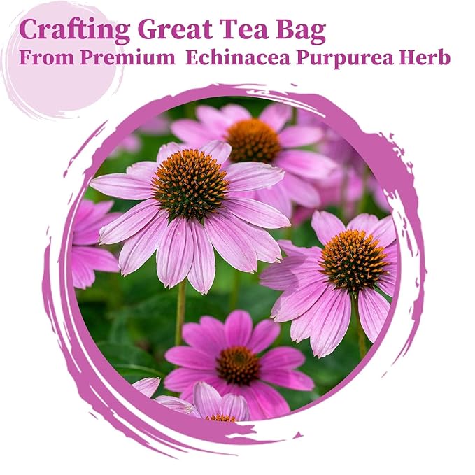 FullChea - Echinacea Tea Bags, 50 Count, 2g/bag - Premium Echinacea Purpurea Herb - Non-GMO - Caffeine-free - Aid Digestion & Boost Immunity