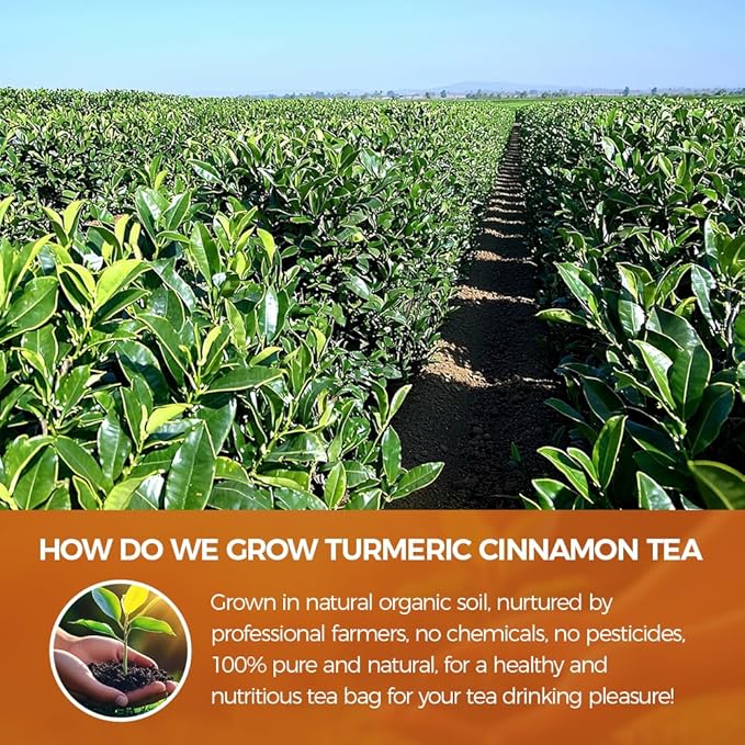 WOTIHA-Natural Ginger Turmeric Cinnamon Tea 180g，100% Natural High-Concentration Ingredients ，Herbal Tea Bags, Rich in FlavorNon-GMO • Additive-Free • Caffeine-Free • Vegan.