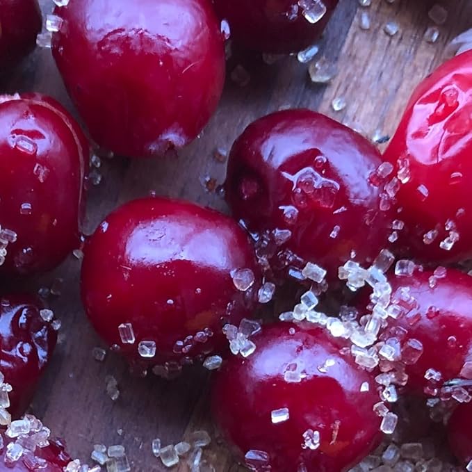 Cranberry Rhubarb Jam, 5 oz - Craft, Gourmet, Unusual Jams & Jellies Made in West Virginia, USA