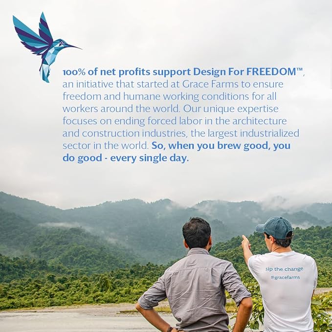 Grace Farms REVIVE Wellness Organic Tea Blend (16 Pyramid Sachets) | Yerba Mate, Green Tea, & Adaptogens | Natural Energy Coffee Replacement | Fairtrade & Kosher | Gives Back 100% of Profits