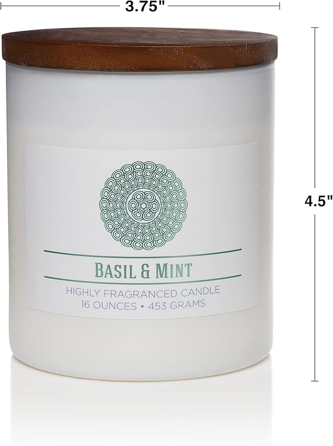 CAROLINA Basil & Mint Scented Candle, 16 oz Wellness Relaxing Aromatherapy Candle, 2 Wick White Jar Soy Blend Wax, Candles for Home, 60H Burn - Made in The USA