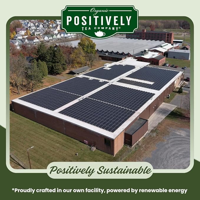 Organic Positively Tea Company, Dragonwell Green Tea Bags, 20 Count