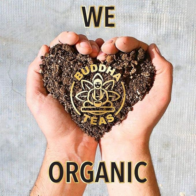 Buddha Teas Organic Yellow Dock Root Tea - OU Kosher, USDA Organic, CCOF, 18 Bleach-Free Tea Bags